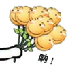 :huaji6: