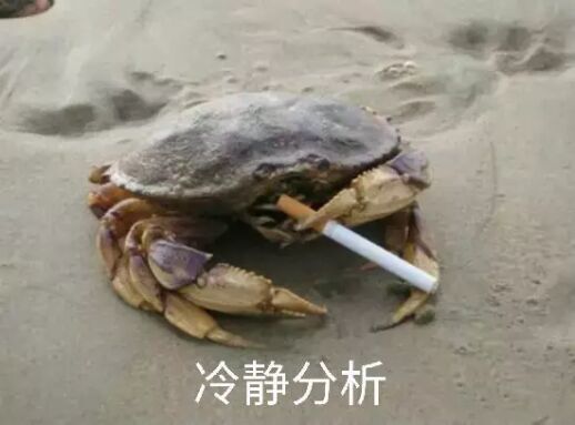 这网站好冷清啊