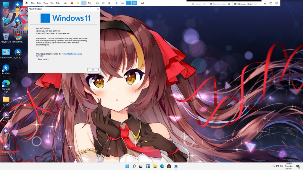 windows11 beta 上windows10的美化特效